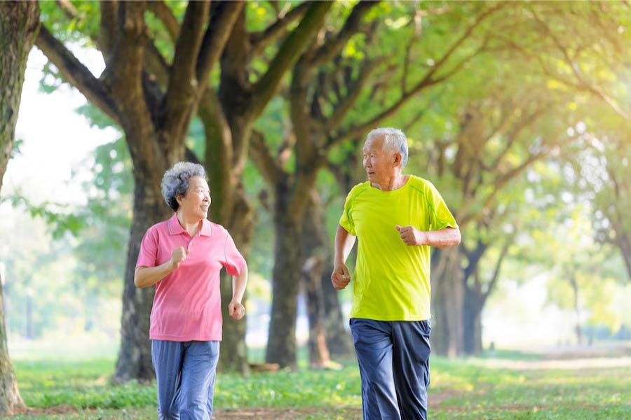 elderly immune system