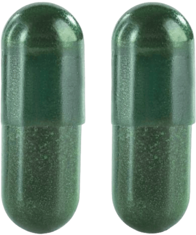 supplement for boosting immune system | Zaccha