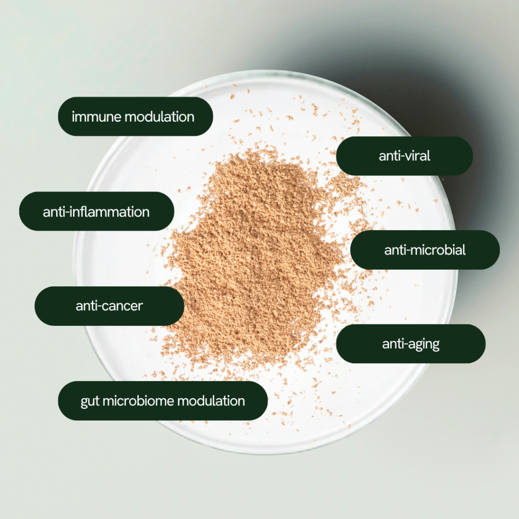 prebiotic supplement | Zaccha